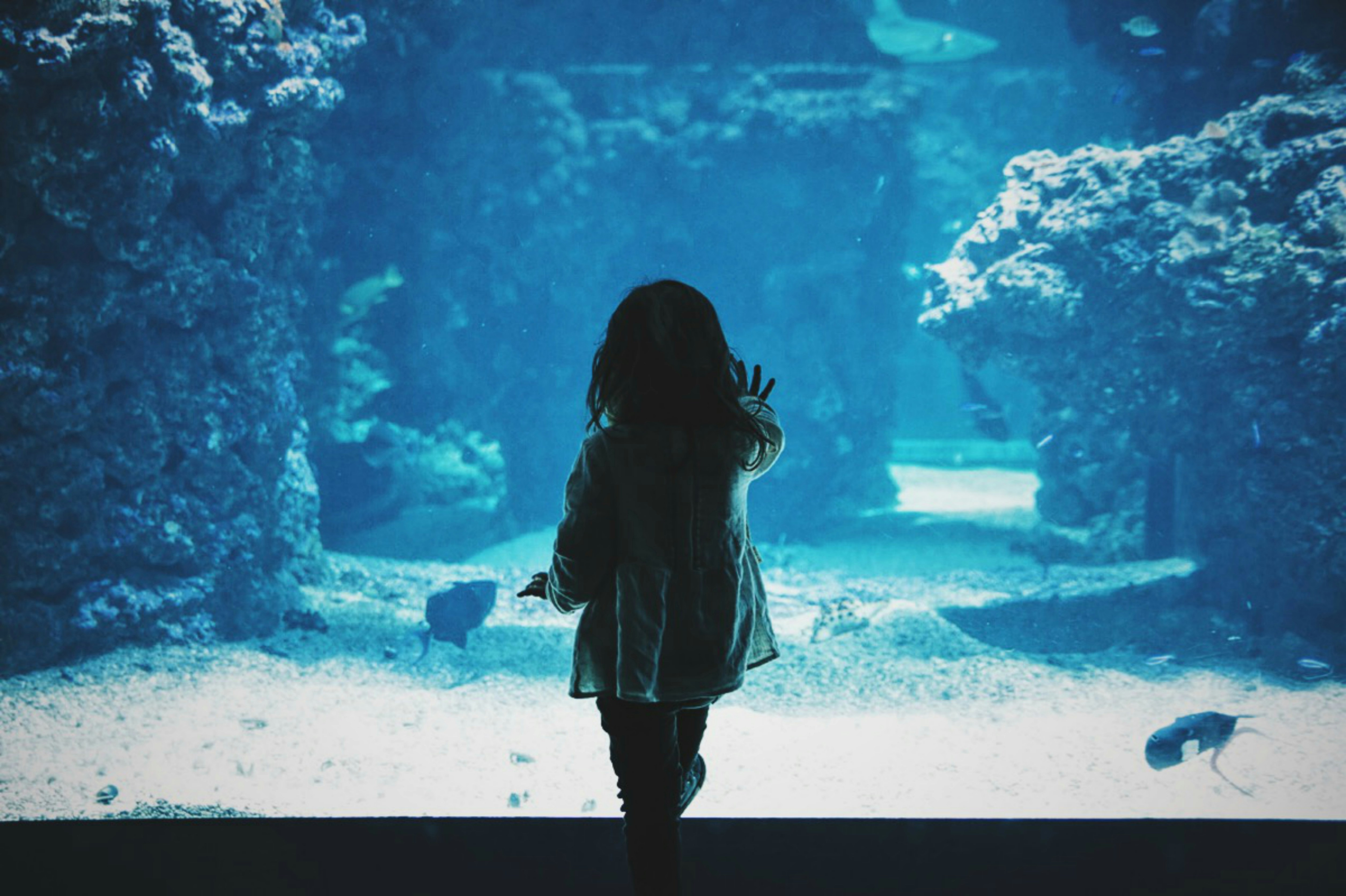 Girl in the aqua
